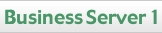 business hosting server