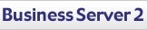 busness hosting servers
